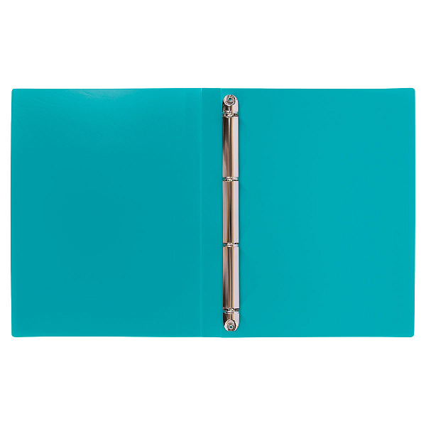 Папка-портфолио на 4 кольцах  A4  700 мкм  25 мм  песок бирюзовый  "Лео"   "Учись"