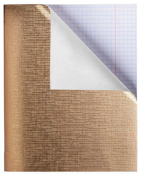 Тетрадь 96 листов в клетку Бумвинил METALLIC Золото на скобе 