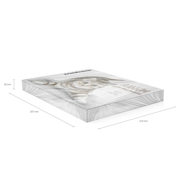 Альбом для рисования 40 листов на клею ErichKrause Tabby, А4