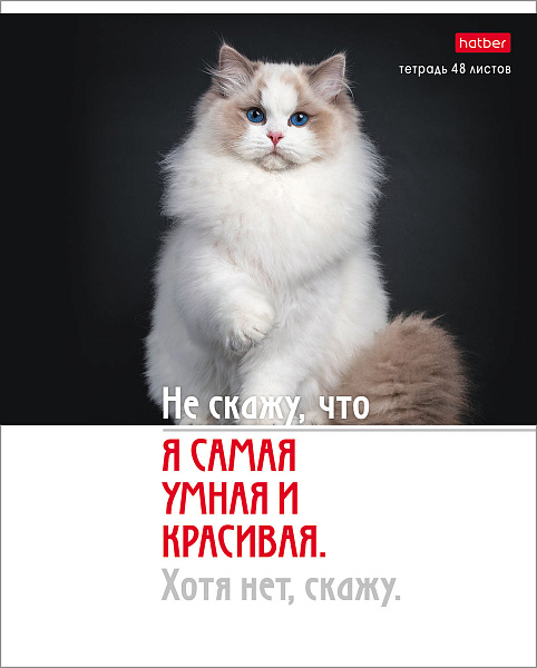 Тетрадь А5 48 листов в клетку, "Котоюмор", обложка мелованный картон, 60 г/м2, ассорти
