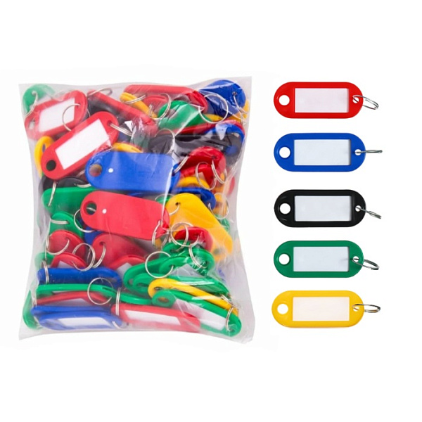 Набор брелоков для ключей 53х23 мм, окно 36х18 мм, 100 штук, цвет ассорти 5 цветов
