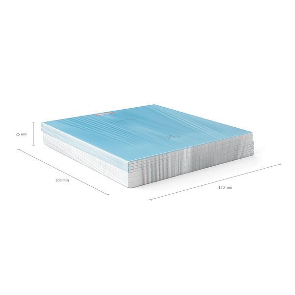 Тетрадь 48 л. кл.  "Классика Neon голубая ErichKrause® 