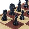 Шахматы, шашки "Рыжий кот" 22,5 х30 см классич. в  большой коробке + Поле 