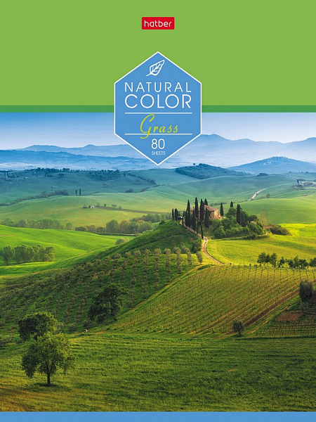 Тетрадь 80 л. лин. "Colour" на скобе 