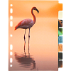 Разделитель листов "deVENTE. Nature" A5 (160x210 мм) ламинированный мелованный картон 210 г/м2, с рисунком, 8 шт, индивидуальная упаковка