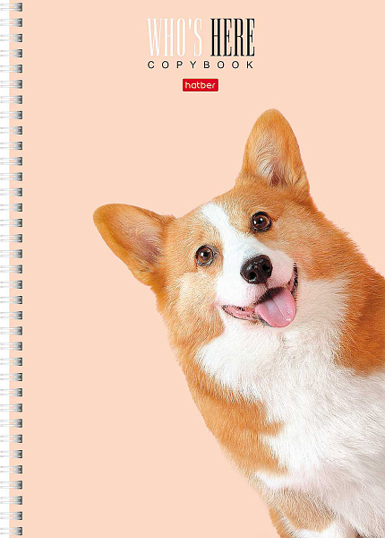 Тетрадь А4 96 л. кл. на гребне "Кто здесь?" мат.ламин. 4 диз.в блоке