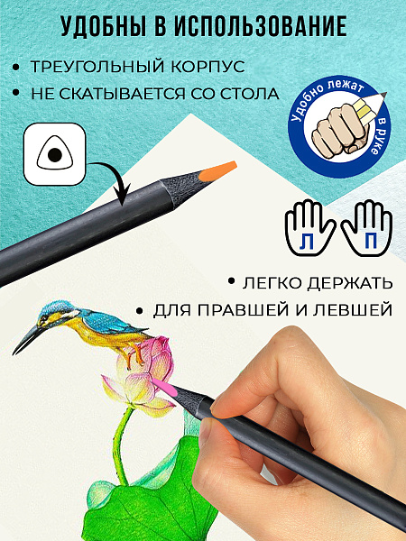 Карандаши 12 цв. ACMELIAE трехгранне в картонном футляре,