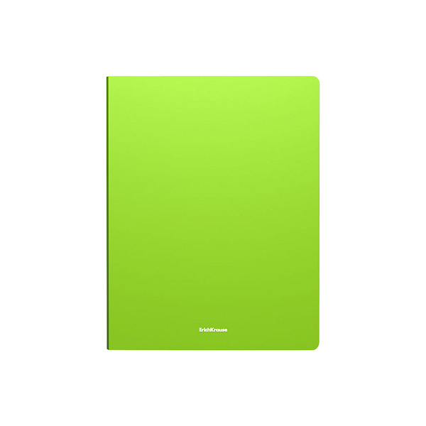 Папка 2 кольца 24 мм А4 ErichKrause Matt Neon, ассорти (в пакете по 4 шт.)