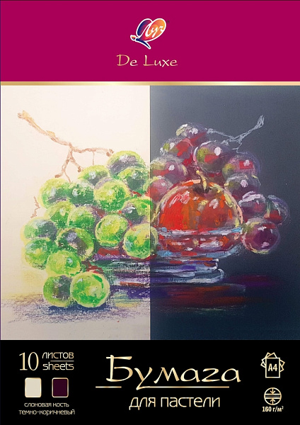 Бумага для пастели А4 10 л. Луч "ЛЮКС" в папке, 2 цвета