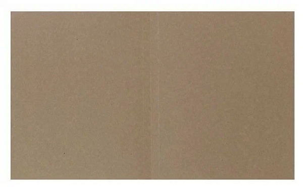 Папка-обложка "Дело", немелованная, 250 г/м2, на 200 листов, белая