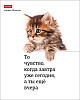 Тетрадь А5 48 листов в клетку, "Котоюмор", обложка мелованный картон, 60 г/м2, ассорти