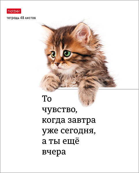 Тетрадь А5 48 листов в клетку, "Котоюмор", обложка мелованный картон, 60 г/м2, ассорти