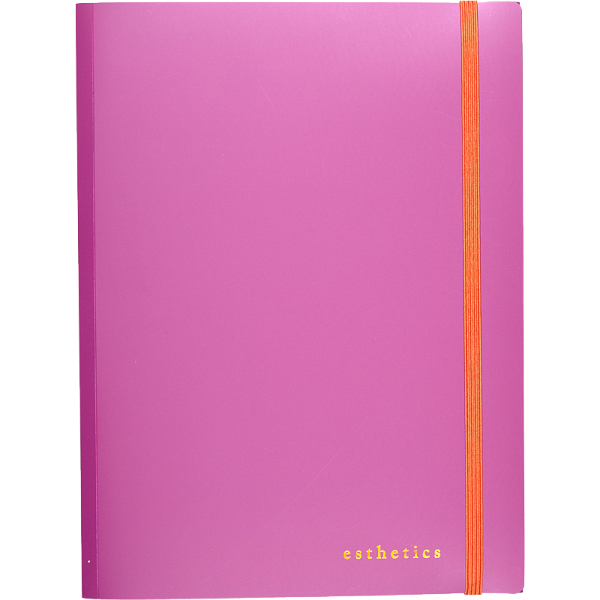 Папка с резинкой "deVENTE. Esthetics" A4 (230х320x20 мм) непрозрачная бургунди, полипропилен 600 мкм, фактура "soft-touch" широкая вертикальная резинка, 3 клапана, наполнение до 20 мм, индивидуальная упаковка,