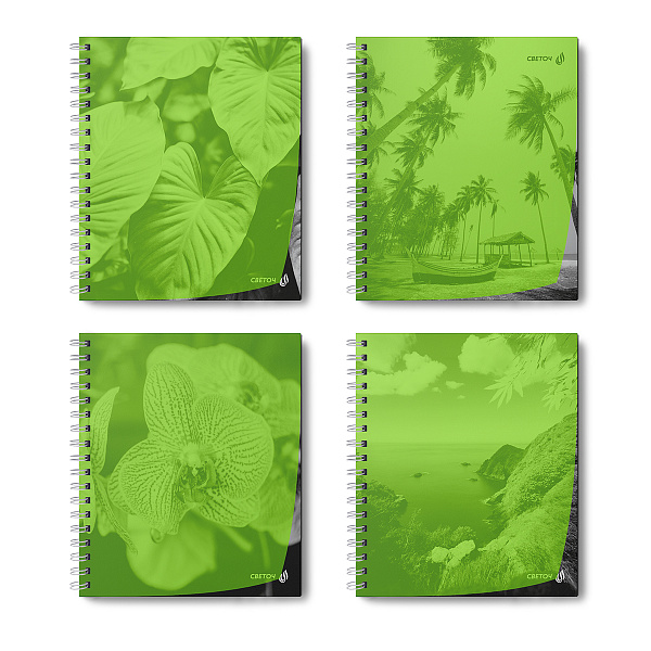 Тетрадь 48 л. кл. на гребне пластик. обложка "Тайны природы, лайм" ч/б запечат. титульн.лист, 180 мкм., A5 65 г/кв.м , белизна 100% 01546 "Светоч"