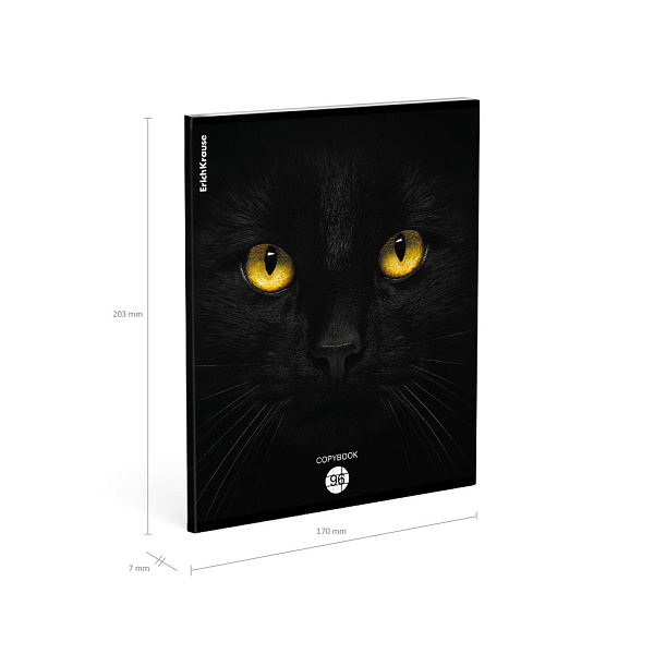 Тетрадь 96 листов в клетку "Cats", матовая ламинация  ErichKrause _MIX-PACK