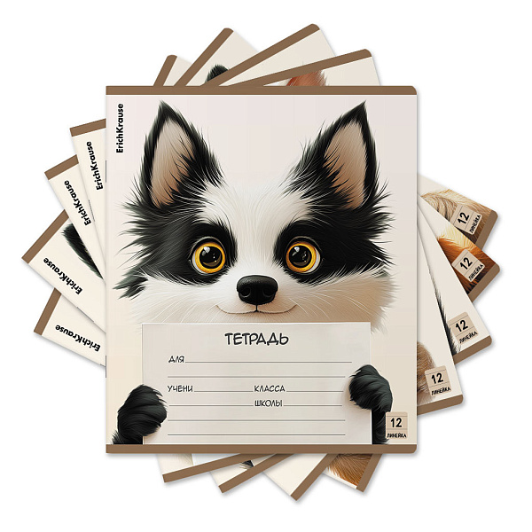 Тетрадь 12 л. лин. ErichKrause Note Friends, (в плёнке )_MIX-PACK