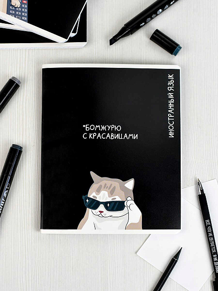 Тетрадь предметная "КОТЫ МЕМЫ" ИНОСТРАННЫЙ ЯЗЫК /48 л., А5+, вн.блок - клетка, белый офсет, мягкий переплёт (2 скобы), облож.- мелованный картон 190 г/м², выборочный ТВИН УФ-лак, Подкла