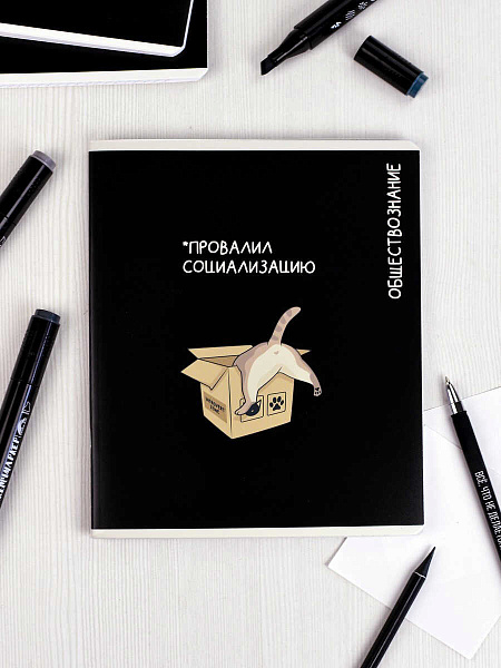 Тетрадь предметная "КОТЫ МЕМЫ" ОБЩЕСТВОЗНАНИЕ /48 л., А5+, вн.блок - клетка, белый офсет, мягкий переплёт (2 скобы), облож.- мелованный картон 190 г/м², выборочный ТВИН УФ-лак, Подкладн