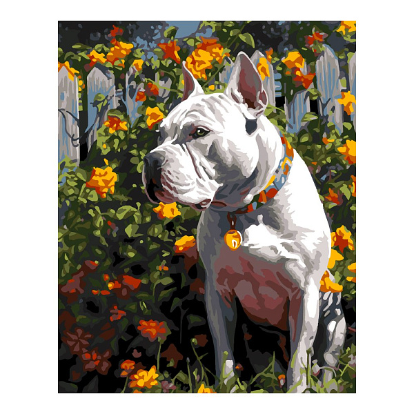 Картина по номерам холст на подрамнике 40*50см "Защитник"