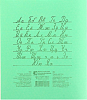 Тетрадь 12 листов в косую линейку «Зелёная обложка», бумажная обложка, серые листы, блок №2, белизна 65%
