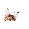 Папка-конверт на кн. А4 ErichKrause Hiding Cats, ассорти (в пакете )