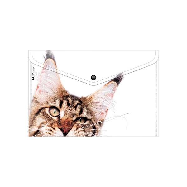 Папка-конверт на кн. А4 ErichKrause Hiding Cats, ассорти (в пакете )