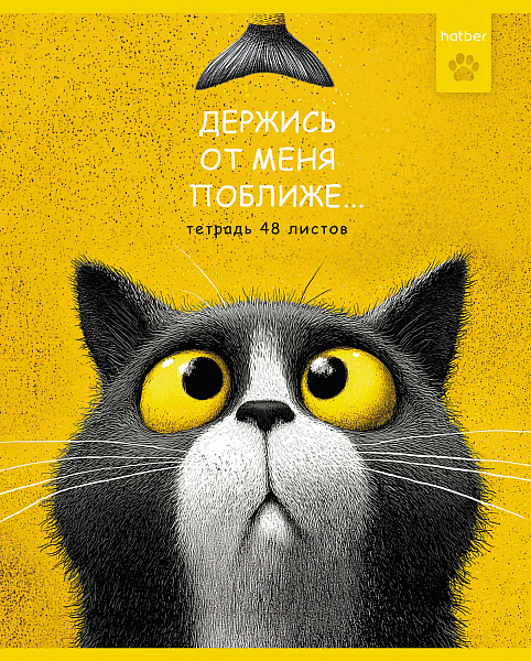 Тетрадь 48 листов в клетку "Пушистый философ" 60-65г/кв.м на скобе Обл. мел.картон тиснение 5 диз.в блоке скругл.углы