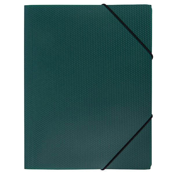 Папка на резинке А4 "Expert Complete" PRISMA 600 мкм  35 мм изумрудный