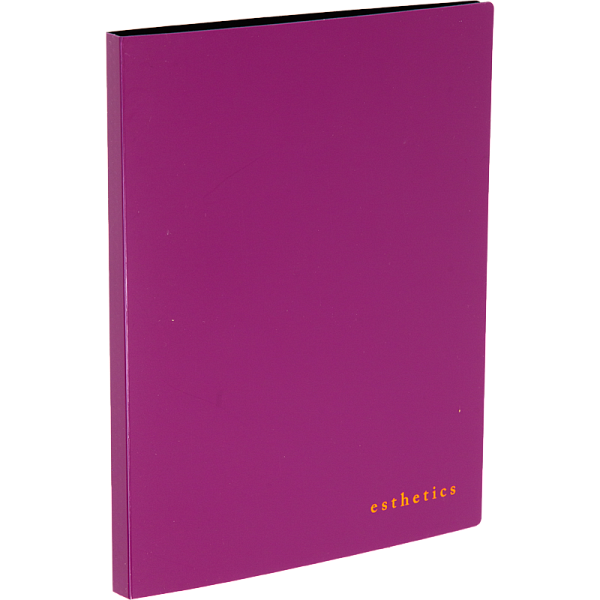 Папка 20ф А5 "deVENTE. Esthetics" полипропилен 700 мкм, бургунди, фактура "soft-touch" вкладыши 30 мкм, внутренний карман 160 мкм, индивидуальная упаковка, A5 (165x220x10 мм) 