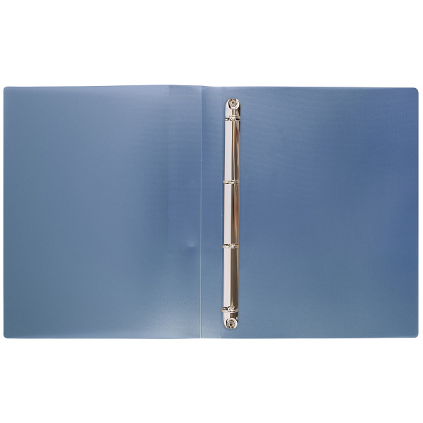 Папка 4 кольца 25 мм А4 "Expert Complete"   Trend ICEberries 700 мкм  d - 17 мм голубика