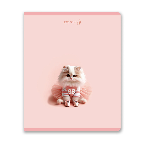 Тетрадь 48 л. кл. "Нежные мечты" выборочные блёстки, A5 на скобе 65 г/кв.м , белизна 100 %  01476  "Светоч"