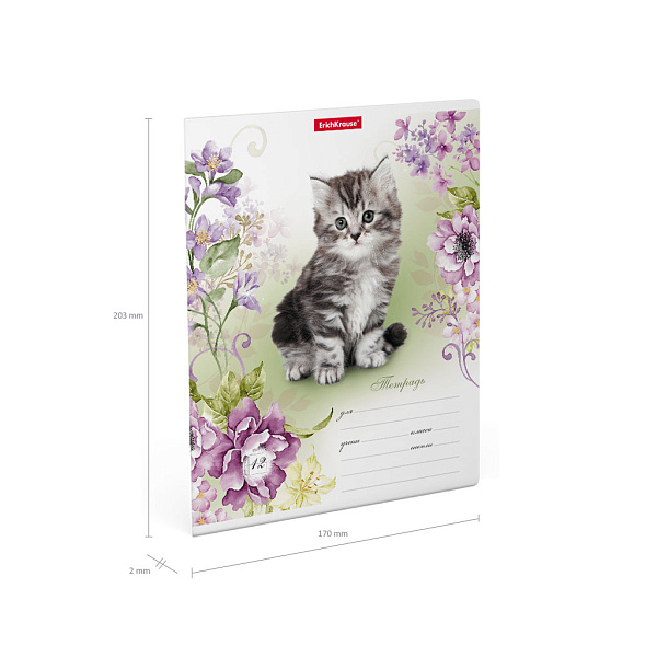 Тетрадь 12 л. кл. "Мурзики" ErichKrause (в плёнке по 10 шт.)