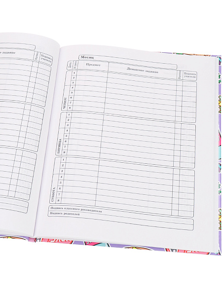 Дневник 1-11 кл. 40 л. тв.переплет "КЛАССИКА СТРИТФУДА" глянц.лам.  TM"Profit"