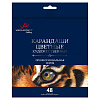 Карандаши 48 цв. "VISTA-ARTISTA" "Gallery" VGCP-48 заточенный