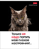 Тетрадь А5 48 листов в клетку, "Котоюмор", обложка мелованный картон, 60 г/м2, ассорти
