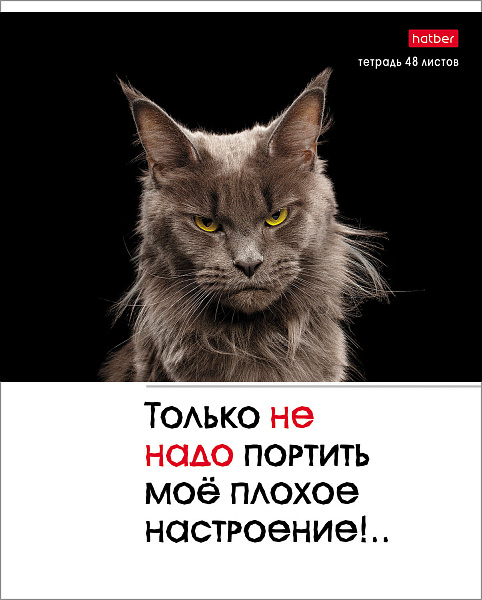 Тетрадь А5 48 листов в клетку, "Котоюмор", обложка мелованный картон, 60 г/м2, ассорти