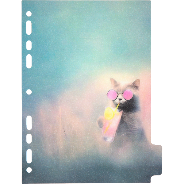 Разделитель листов "deVENTE. Cat Story" A5 (160x210 мм) полипропилен 140 мкм, искрящаяся фактура, с рисунком, 5 шт, индивидуальная упаковка