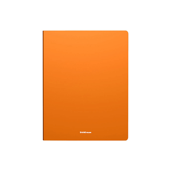 Папка 2 кольца 24 мм А4 ErichKrause Matt Neon, ассорти (в пакете по 4 шт.)