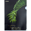 Папка-уголок А4 "deVENTE. Tropicana" 180 мкм, непрозрачная с рисунком, тиснение фольгой, 2 дизайна ассорти