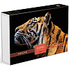 Пазлы 500 эл. А2 480х330мм LEGEND ZooStyle "Взгляд тигра" в подарочн. короб. + Постер "Premium"