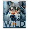 Тетрадь А5 48 листов в клетку, BG "Wild", обложка мелованный картон, вд-лак, серый блок 60 г/м2, суперэконом