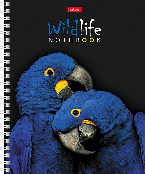 Тетрадь А5 80 листов в клетку на гребне, "ЗОО мир", обложка мелованный картон, 60 г/м2