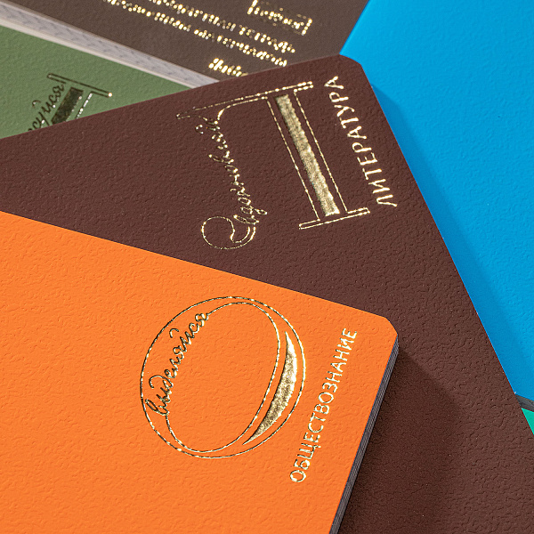 КОМПЛЕКТ Тетрадь предметная 48 листов 12 штук "Яркая палитра"А5ф С интерактивн.справочн.инф. 60-65г/кв.м на скобе Обл. мел.картон ламинация цв.СОФТ ТАЧ  3D фольга тиснение запечатанный оборот и титул. лист в пленке