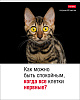 Тетрадь А5 48 листов в клетку, "Котоюмор", обложка мелованный картон, 60 г/м2, ассорти