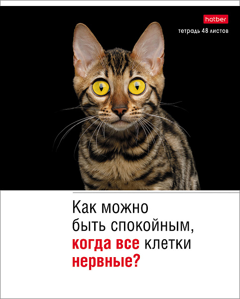 Тетрадь А5 48 листов в клетку, "Котоюмор", обложка мелованный картон, 60 г/м2, ассорти