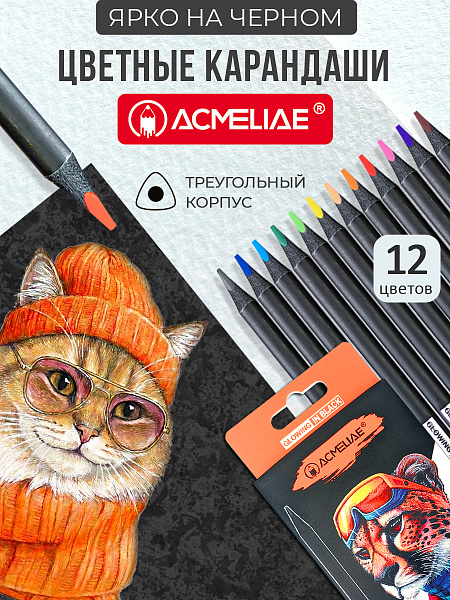 Карандаши 12 цв. ACMELIAE трехгранне в картонном футляре,