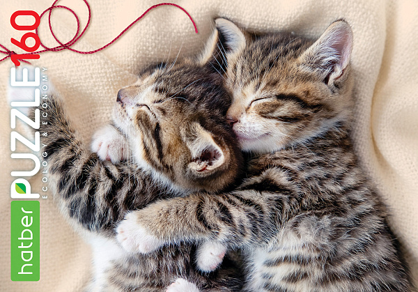 ПАЗЛЫ 160 эл. А4 330х220мм  -Мяу-Котики- "ECO"