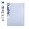 Папка 20ф А4 "Expert Complete" Trend ICEberries 600 мкм  20 мм  1 шт. лёд