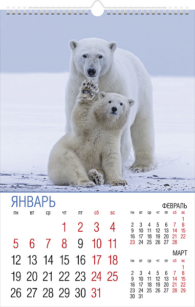 Календарь 2026 настенный перекидной ЛЮКС "Мамы и малыши" 30х45см бум. Мелованная на гребне с ригелем  в инд.упак.с европодвесом