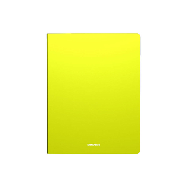 Папка 2 кольца 24 мм А4 ErichKrause Matt Neon, ассорти (в пакете по 4 шт.)